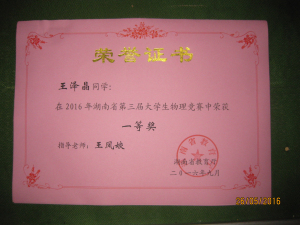 王泽晶一等奖.jpg